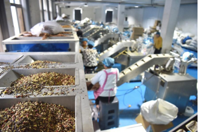 拼多多股價波動背后:為何下血本投入高質量發展?