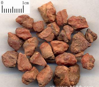 優質安息香/樹脂類中藥材白花榔/各種規格中藥材批發/實圖