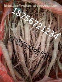 【赤芍苗現(xiàn)在價格】藥材種苗,價格,廠家,供應(yīng)商,亳州市譙城區(qū)富家中藥材種植農(nóng)民專業(yè)合作社 - 產(chǎn)品庫 - 阿土伯網(wǎng)移動版