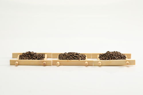 白底決明子中醫藥材中藥攝影圖 攝影