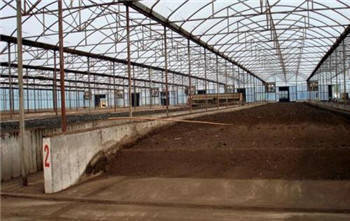 農村創業除了農產品深加工、藥材種植、生態園,原來還有它