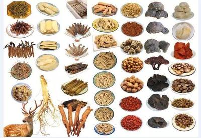 麝香、人參等名貴中藥材,中藥公司怎么獲得