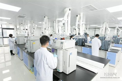 河北五家企業躋身全國醫藥工業百強，本土藥材資源優勢凸顯