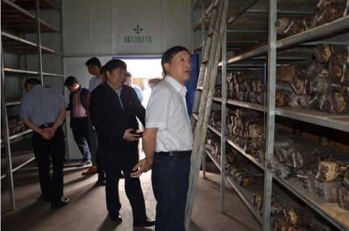 湖北中醫藥大學赴南漳開展藥材資源考察與學術交流