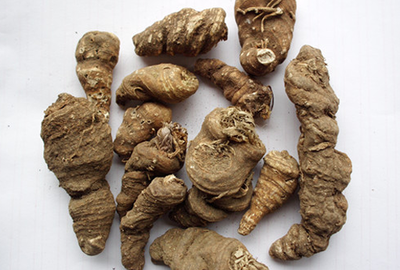 重樓 神奇的中藥材及其功效、副作用與圖片解析