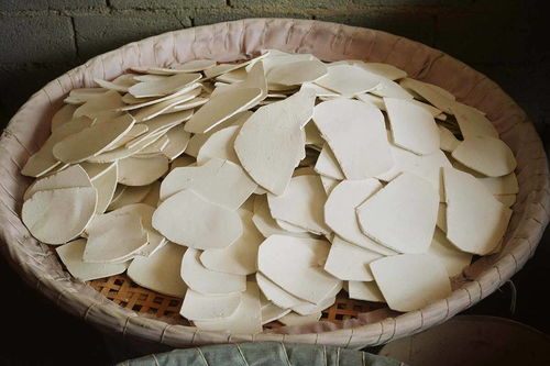 深山采藥人 二十載堅守，爭議中的生計與寂寥