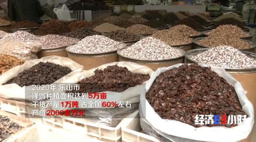 藥材種植熱 600畝土地上的財富傳奇