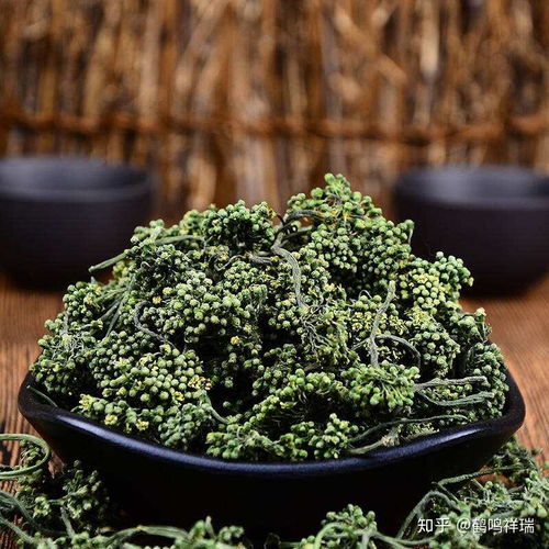 草木春秋 歲歲年年藥香濃