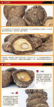 太極養(yǎng)生醫(yī)館壹品齋100g精品香菇 養(yǎng)生食補優(yōu)選，提升免疫力之選