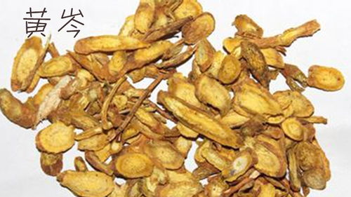 老中醫(yī)醉后吐真言 脂肪肝調(diào)養(yǎng)，三種尋常藥材里的不尋常智慧