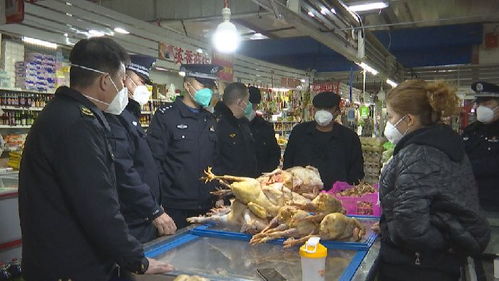尼勒克縣開展食品藥品安全檢查，筑牢“舌尖上的安全”防線