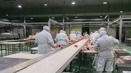 創新驅動，藥材產業引領伊犁州直企業高質量發展